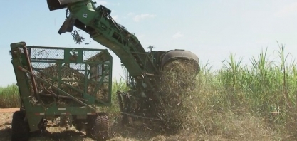 Produtores de cana da região noroeste paulista estão otimistas com safra mais lucrativa
