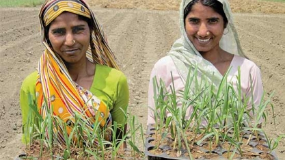 Chuvas de monções na Índia em 2017 devem atingir 98% da média de longo prazo