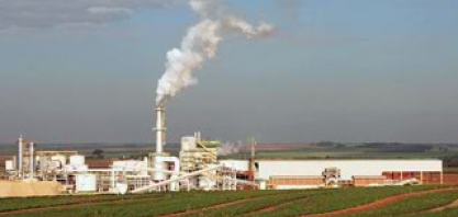 Pedra Agroindustrial – Usina Ipê contrata