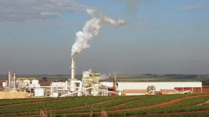 Pedra Agroindustrial – Usina Ipê contrata