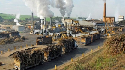 Preços do açúcar sobem por política de importação na Índia e alta do petróleo