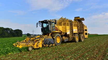 Oferta agrícola da UE terá etanol e carne
