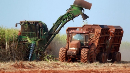 Companhia de bioenergia angolana produz em dois meses mais de 20 mil toneladas de açúcar