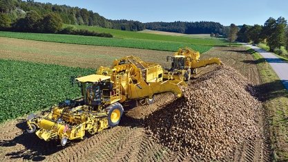 FCStone: com fim de cotas, safra 2017/18 de açúcar na UE pode crescer 16,6%