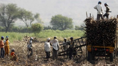 Produção de açúcar da Índia cai 15% no acumulado da safra 2016/17, diz Isma