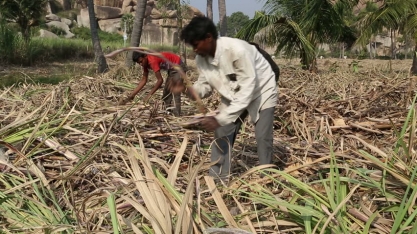 Índia inicia construção de sua primeira planta de etanol celulósico