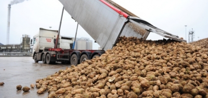 USDA mantém previsão de produção de açúcar na safra 2017/18