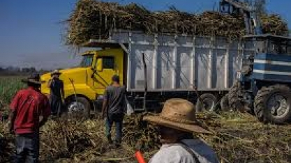 México e EUA assinam formalmente acordo sobre comércio de açúcar
