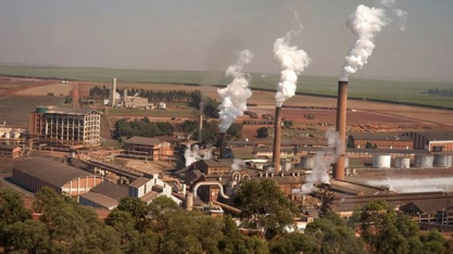 Grupo São Martinho contrata