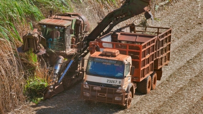 Mais de 8 mil vagas de trabalho foram abertas no mês passado em SP