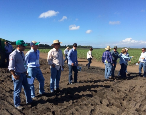 Produtores de cana Associados da Assocana – Associação dos Fornecedores e Plantadores de Cana da Média Sorocabana – em recente visita aos canaviais australianos