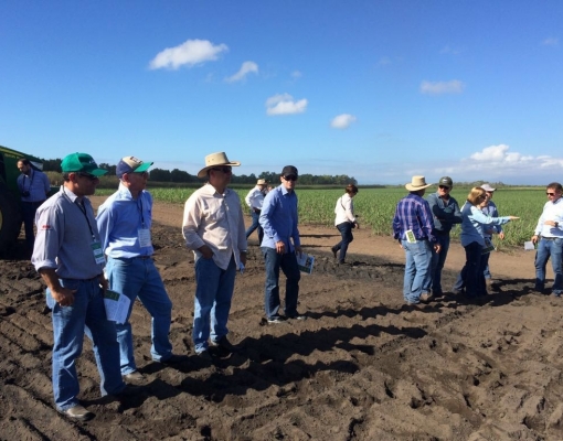 Produtores de cana Associados da Assocana – Associação dos Fornecedores e Plantadores de Cana da Média Sorocabana – em recente visita aos canaviais australianos