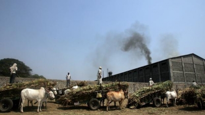 Liberação de importação desagrada produtores de açúcar da Índia