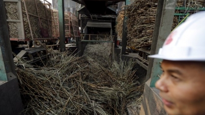 Produção de açúcar na Ásia deve permanecer deficitária, diz LMC International