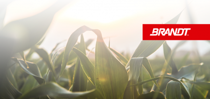 Em expansão, Brandt do Brasil contrata engenheiros agrônomos