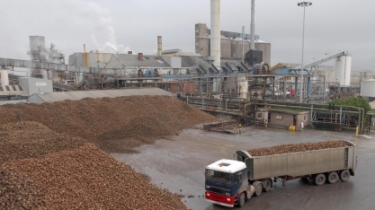 Gigantes britânicas do açúcar se dividem em relação ao Brexit