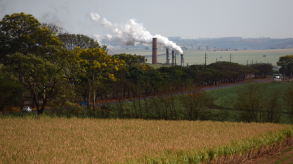 Pedra Agroindustrial contrata comboista motorista e mecânico manutenção agrícola