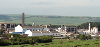 São Martinho contrata Coordenador de Remuneração e Benefícios