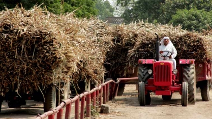 Índia deverá produzir menos açúcar que o esperado em 2016/17, diz associação