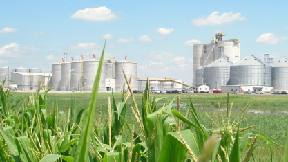 USDA espera aumento da produção e uso do milho nos próximos anos