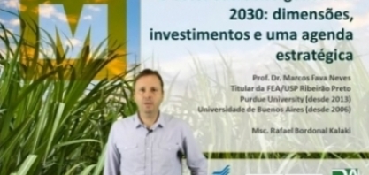 Marcos Fava Neves comenta o estudo sobre o setor sucroenergético em 2030