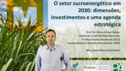Marcos Fava Neves comenta o estudo sobre o setor sucroenergético em 2030