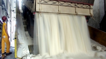 Açúcar perde quase 14% no trimestre