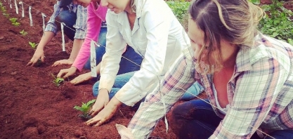 Elas são pau para toda obra!