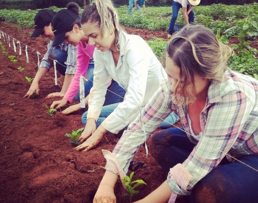 Integrantes da Agrifort Jr plantando café