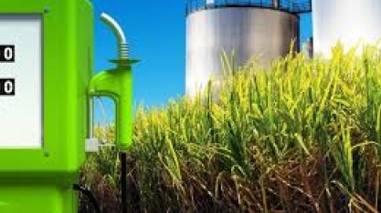 Etanol de fora de SP pressiona preços no Estado, diz Cepea