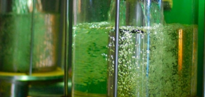 Preço do etanol mantém trajetória de queda em São Paulo