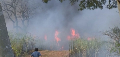Incêndio destrói plantação de cana e área de preservação ambiental em Iacri