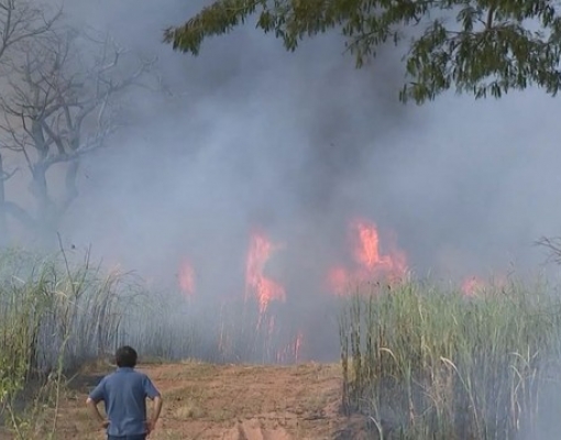 (Foto: Reprodução / TV TEM)