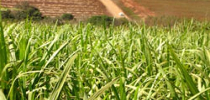 ATR SP: valor acumulado cai no mês de maio