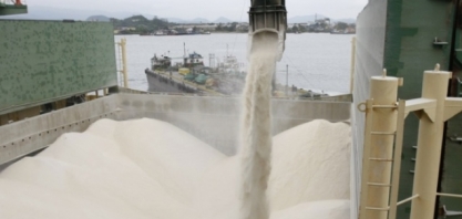 Preços do açúcar abrem a semana desvalorizados nos mercados internacionais