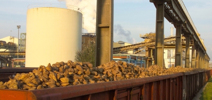 Mercado global de açúcar será transformado por decisão da UE