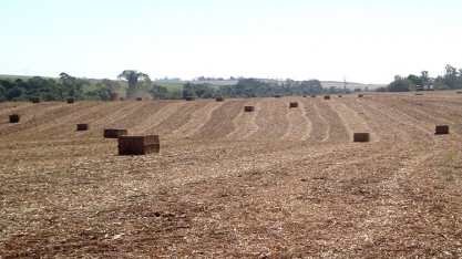 Fase de consulta pública para o RenovaBio termina com 26 contribuições