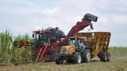 Embrapa apresenta proposta de avaliação de desempenho ambiental no RenovaBio