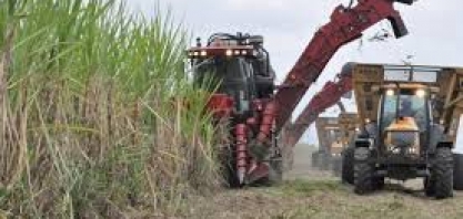 Recuperação das usinas de cana levará ainda alguns anos, avalia Santander