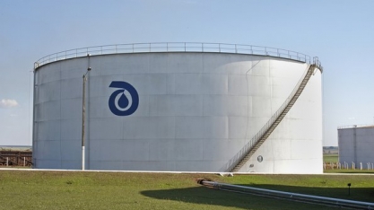 Usinas reduzem vendas de etanol em janeiro