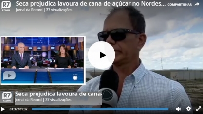 TV Record expõe para o Brasil o prejuízo nos canaviais do NE com a seca
