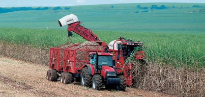Cana-de-açúcar pode ser a nova cultura agrícola a entrar no PGPM