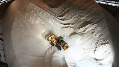 OIA aponta superávit global de 4 milhões de t de açúcar na safra 2017/18