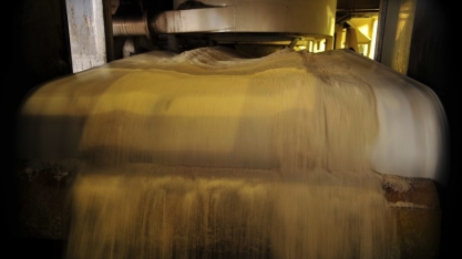 Unica considera “possibilidade concreta” painel contra China na OMC