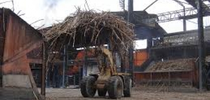 Produção de Etanol, especialmente no Nordeste, pode parar