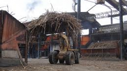 Produção de Etanol, especialmente no Nordeste, pode parar