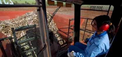 O lado feminino que leva ao sucesso