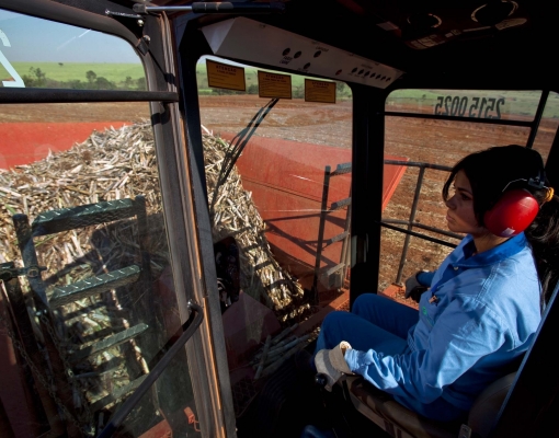 No agronegócio, gradativamente encontramos mulheres assumindo cargos na gestão operacional dos empreendimentos