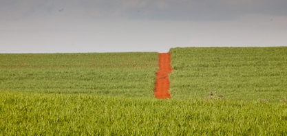 Chineses miram aquisição de construtoras e licitações de ferrovias no Brasil