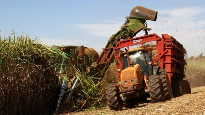 Presidente da Siamig, Mário Campos, concede entrevista sobre o setor sucroenergético